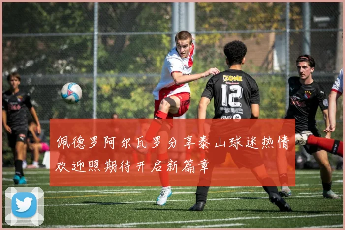 佩德罗阿尔瓦罗分享泰山球迷热情欢迎照期待开启新篇章