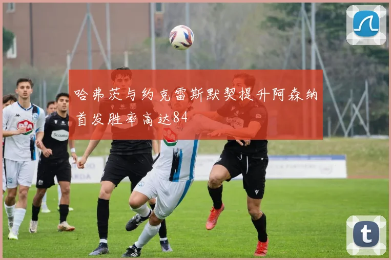 哈弗茨与约克雷斯默契提升阿森纳首发胜率高达84